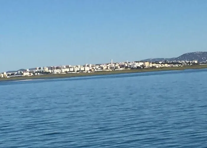 Quinta Shiamar 쿼테이라